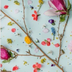 Meet your Posher, Jilianne